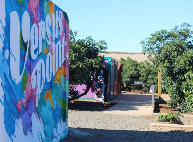Jardines del campo de paintball